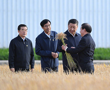 习近平在黑龙江考察 