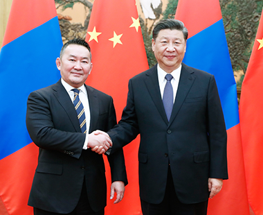 习近平同蒙古国总统巴特图勒嘎会谈